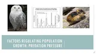 10.3 (Subunit C) - Population Ecology - 30th Sept