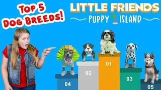 Little Friends Puppy Island Top 5 Dog Pets for the Nintendo Switch