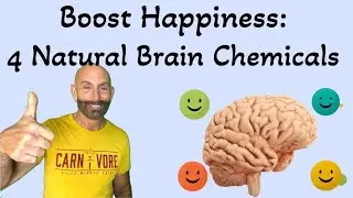 Boost Happiness: 4 Natural Brain Chemicals Explained #happiness #mood