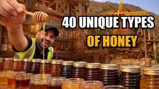 Tasting 40 Unique Types of Honey in World's Biggest Honey Refinery | Abha Travel Series | Ep 4