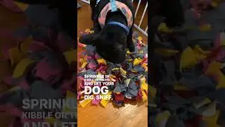 Snuffle Mat for Dogs #shortvideos #puppytraining