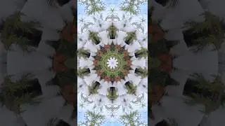 Snow Mandala from Nature ❄️ Forest Kaleidoscope | Relaxing Visual #shorts