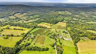 Virginia Winery & Vineyard For Sale - Premier Wine Estate