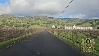 Explore California's wine country with True Elegance Limo Wine Tasting Tours of Napa and Sonoma! 🍷🌄