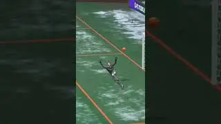S&oacute;crates de novo