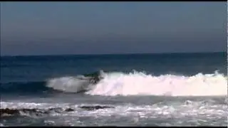Tiago Pires Reef