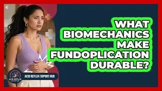 What Biomechanics Make Fundoplication Durable? - Acid Reflux Support Hub