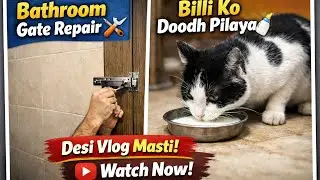 Bathroom Ka Gate Thik Kiya 🛠️ | 🐱 | Daily Vlog