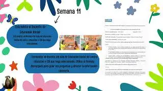 documental-practicas preprofesionales
