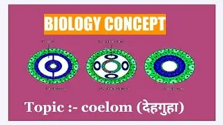 Coelom (देहगुहा) @MKclass09 