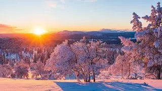 Beautiful Instrumental Music for Relaxation and Stress Relief❄️Winter Melodies