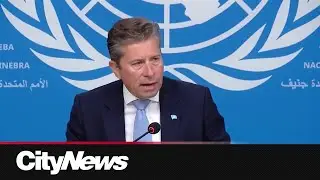 'Irrefutable testimony': UN-backed report officially declares famine in Gaza
