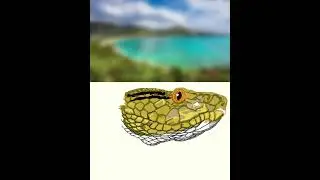 Protobothrops flavoviridis