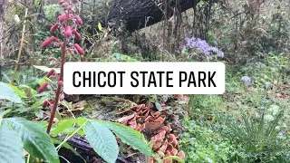 Chicot State Park