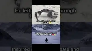 penguin sad story 🥺#penguin #trending #viral #youtubeshorts #youtube #sad