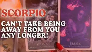 SCORPIO: DEEP IN THEIR FEELINGS 💔YOU&rsquo;RE THE ONLY ONE THEY WANT & IT&rsquo;S TEARING THEM APART 😔❤️&zwj;🔥