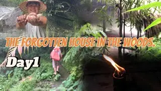 Repairing an abandoned house in the deep woods. Day 1 begins.