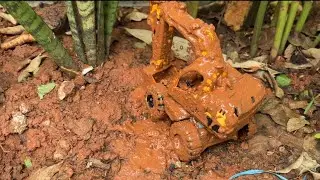 MENEMUKAN DAN MEMBERSIHKAN MAINAN MOBIL, EXCAVATOR, PESAWAT, MOBIL PEMADAM