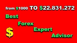 The trading bot made me money for a car! Scalping strategy for the EURUSD pair.