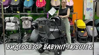 Видеообзор BabyHit Tribute 2