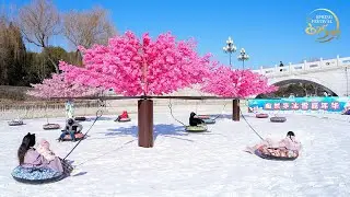 Live: Enjoy the Ice and Snow Carnival at Beijing's Taoranting Park – Ep. 4