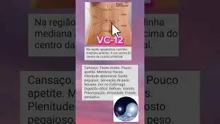 Ponto VC 12 VASO CONCEPÇÃO Zhongwan