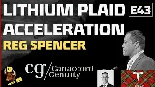 E43: Ускорение литиевой пластины. Рег Спенсер из Canaccord