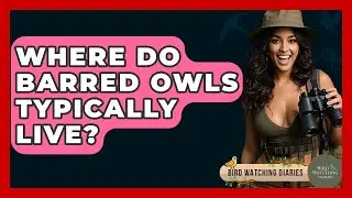 Where Do Barred Owls Typically Live? - Bird Watching Diaries