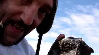 Freaky Cool Ammonite Exposed From The Junk Rock Wow