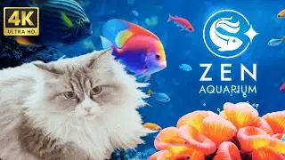 🐾 Zen Aquarium + Cat Purr ASMR | The Most Relaxing Video You'll Watch Today