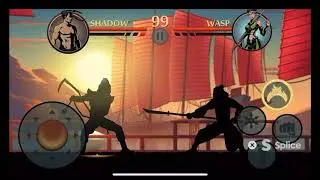 Wasp fight