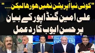 Hassan Ayub's reaction on Ali Amin Gandapur's statement
