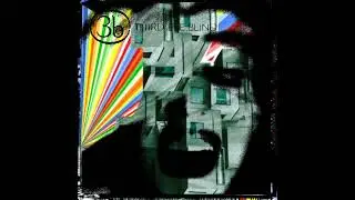 Sweet Eye Blind - Semi-Dedicated Life