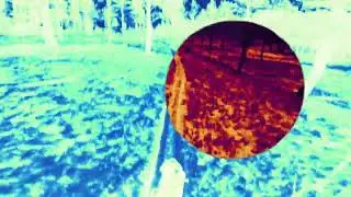 Black Hills Winter Woods Riding on the Triumph TF-250E
