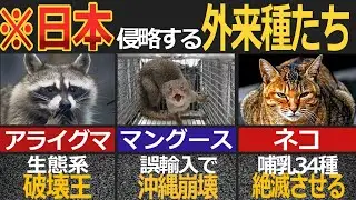 日本の生態系をぶっ壊すエグイ外来種7選【ゆっくり解説】【海外の反応】