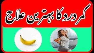 Kamar dard ka behatreenn ilaj| joint pain treatment| Muhron ka ilaj| Scene Wali Sarkar