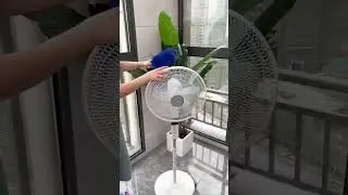 Fan cleaning brush |