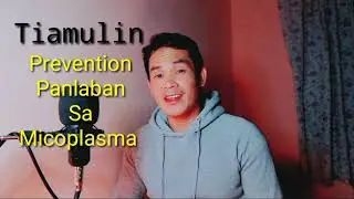 Vetracin gold magaling panlaban sa Micoplasma