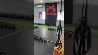 Inside DecaFit Gym / Fitness facility