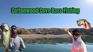Pre-Fishing Cottonwood Cove &ndash; Bass Tournament Prep