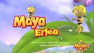 Basque/Euskaraz: Hona Maya Erlea