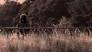 Race the Wind