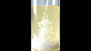 HCl/Chloride ion Test