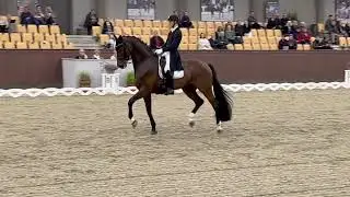 Vayron (VITALIS) et Daniel Bachmann Andersen - Victoire GP Sp&eacute;cial CDI3* de Randbol