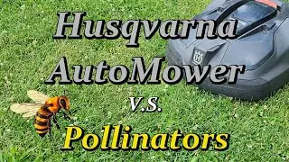 Automower Running Over Bees? Does It Hurt Them?