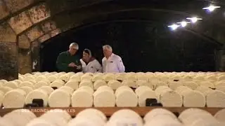 Roquefort : fromages et cueilleurs de vent