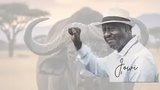 LIVE: Raila Odinga&rsquo;s Funeral Service and Burial at his Opoda Farm, Bondo