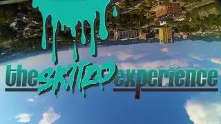 the Skitzo Experience