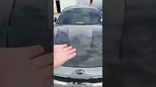 Why you need a carbon fiber hood! #kia #kiastinger #mustang #cars #mopar #kdm #camaro #jdm #supra