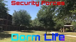 Security forces (life on base)
